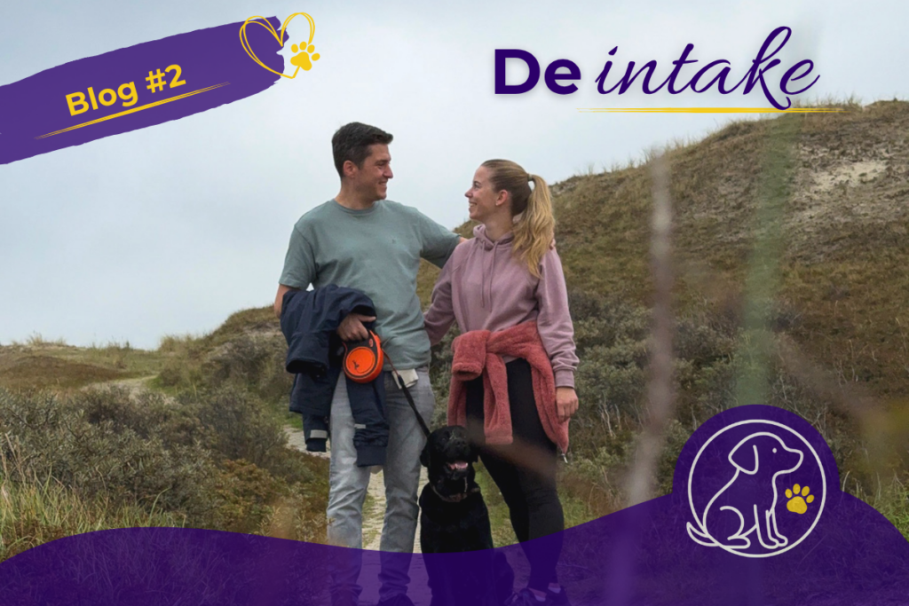 Blog 2 - De intake
