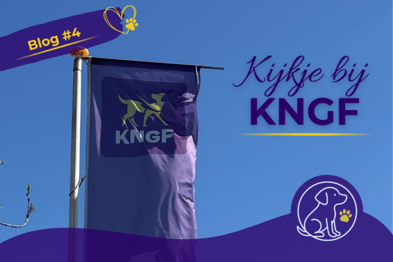 Blog 4 - Kijkje bij KNGF